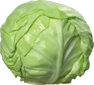 Cabbage PNG image-8780